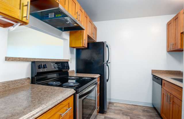 Marina Vista photos photos