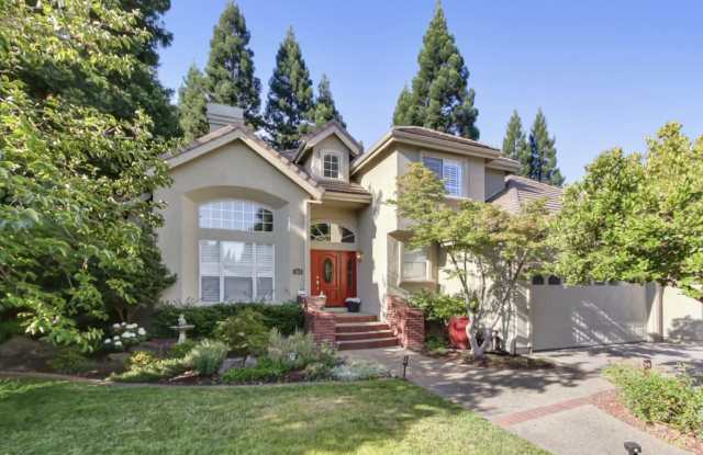 361 Canyon Falls Drive photos photos