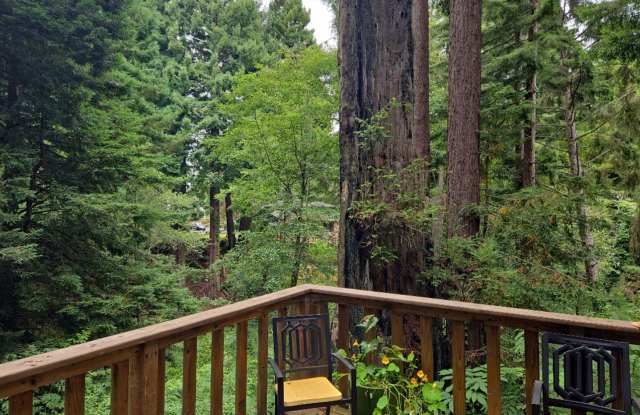 Redwood views! 3BR/2BA 2-story Eureka home! Gallery 3
