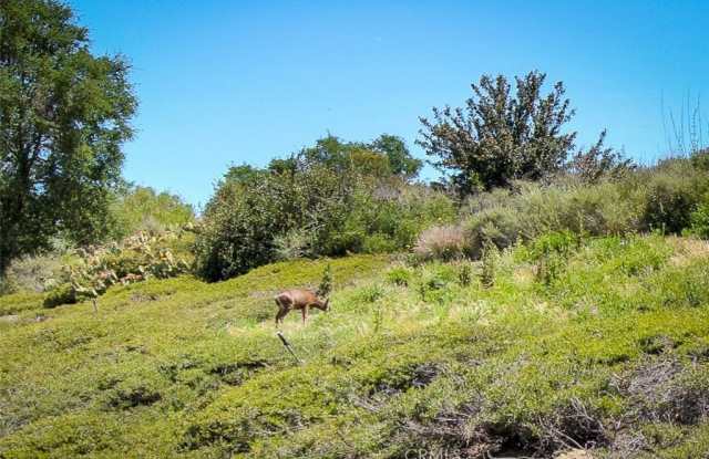 85 Mira Mesa photos photos