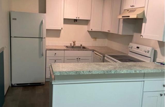 Benson Hill 1 bed 1 bath condo with patio - 1425 South Puget Drive, Renton, WA 98055