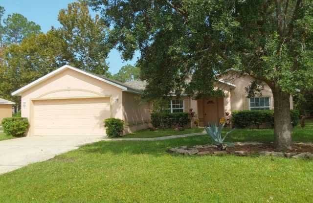 Spacious 4/2/2 with screened in porch. - 9 Woodhollow Lane, Palm Coast, FL 32164