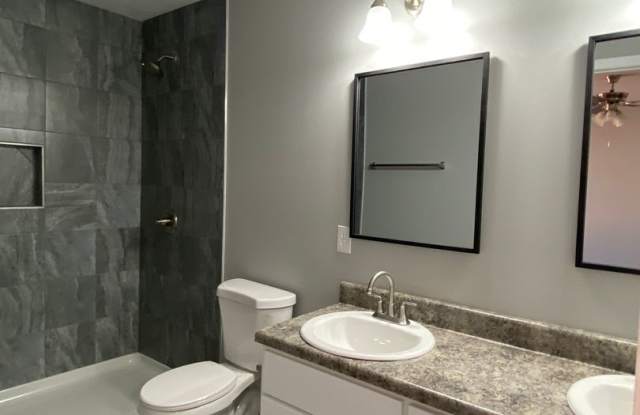 353 Apple Park Way, 3 bedroom, 2 bath home for lease Gallery 4