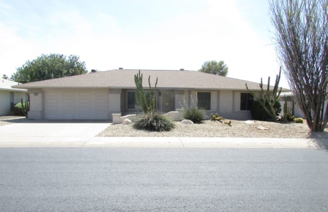 10841 W Pineaire Drive - 10841 West Pineaire Drive, Sun City, AZ 85351