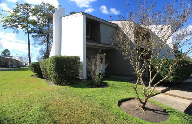 3907 Knollcrest Drive - 3907 Knollcrest Drive, Montgomery County, TX 77356