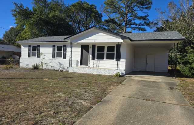 NEW LISTING!!!!! - 2568 Pine Springs Drive, Cumberland County, NC 28306