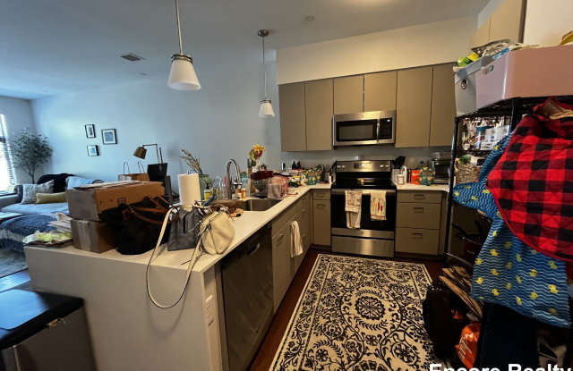 455 Harvard St - 455 Harvard Street, Brookline, MA 02446