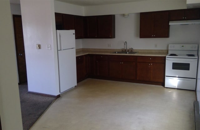 180 Birch Ct. - 4 - 180 Birch Court, Manteno, IL 60950 180 Birch Ct. - 4 - 180 Birch Court, Manteno, IL 60950