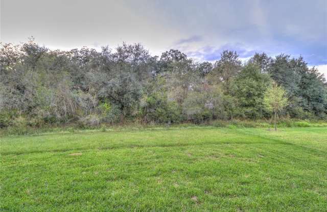 4527 COACHFORD DRIVE Gallery 2