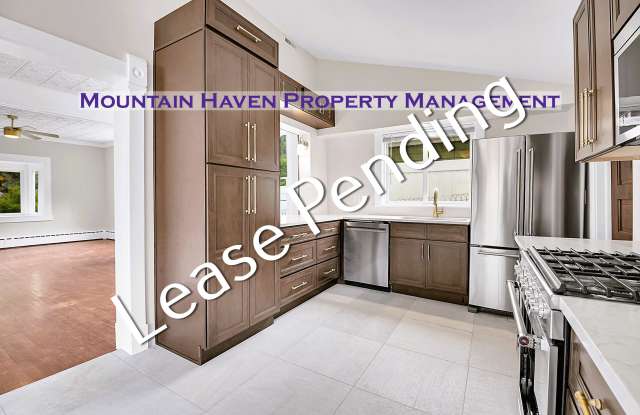 16 Colorado Blvd - 16 Colorado Boulevard, Idaho Springs, CO 80452