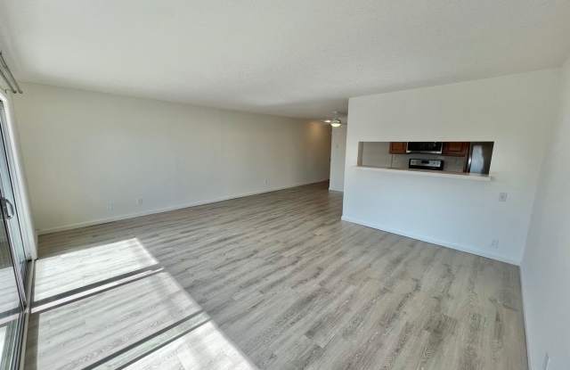 Top Floor Ocean View 1 Bed | Fully Remodeled | Large Balcony | Prime 2nd Street Location Gallery 3