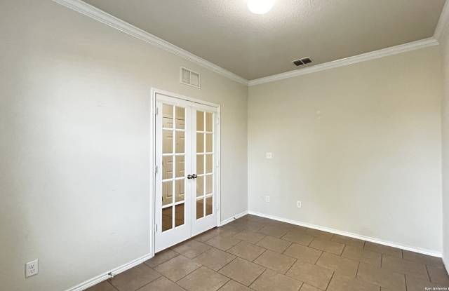 1619 CROWN DAISY Gallery 4