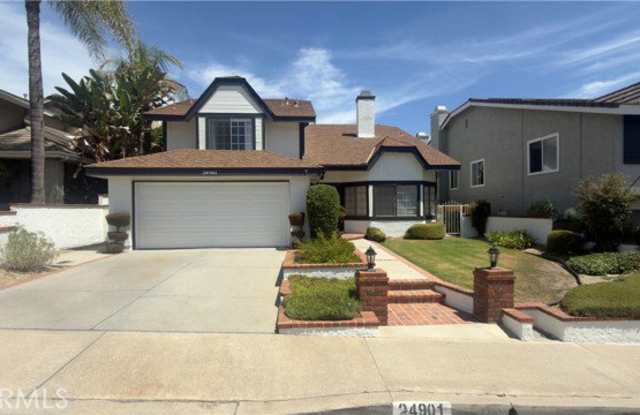 24901 Zumaya Court Gallery 1