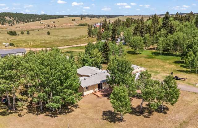 215 Will Scarlet Drive photos photos