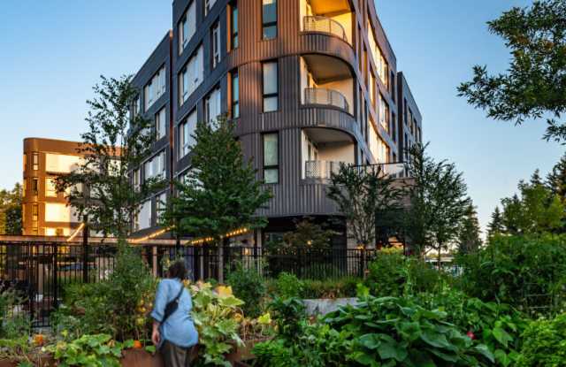 Spectra photos photos Spectra photos photos