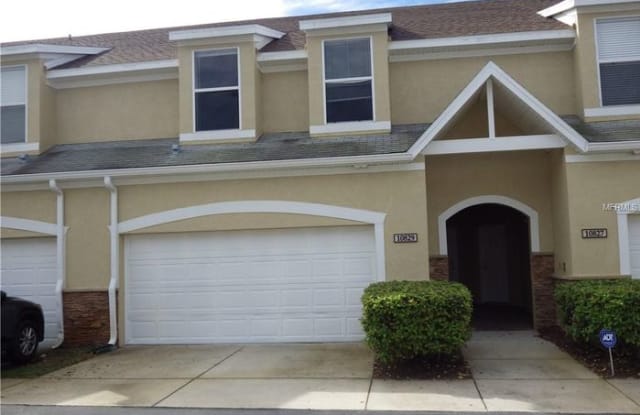 10829 Dragon Wood Drive - 10829 Dragonwood Dr, Hillsborough County, FL 33647