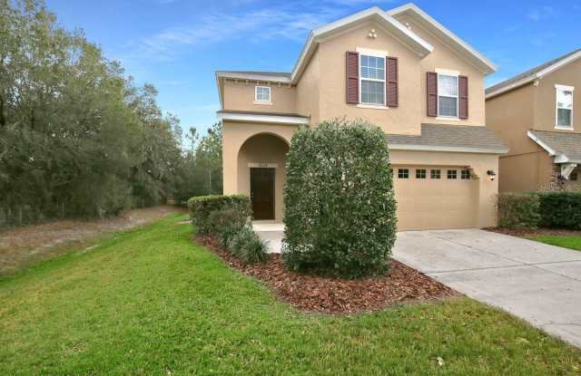 16127 STARLING CROSSING DRIVE - 16127 Starling Crossing Drive, Fish Hawk, FL 33547