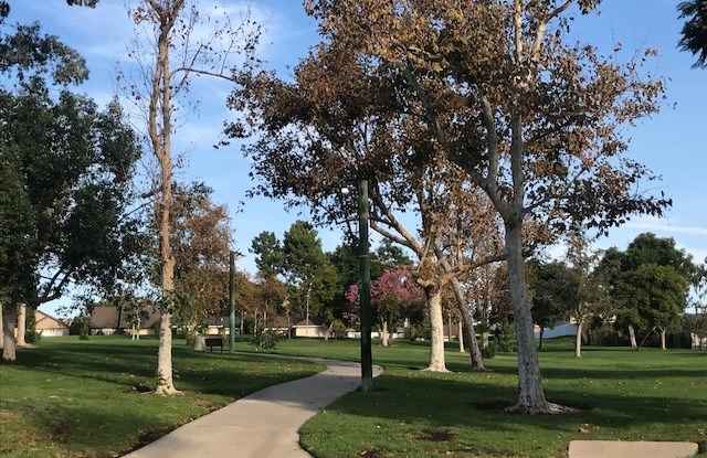25871 Evergreen Road Gallery 2