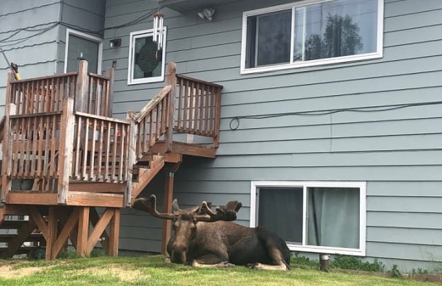 3782 W 84th Ave #B - 3782 West 84th Avenue, Anchorage, AK 99502
