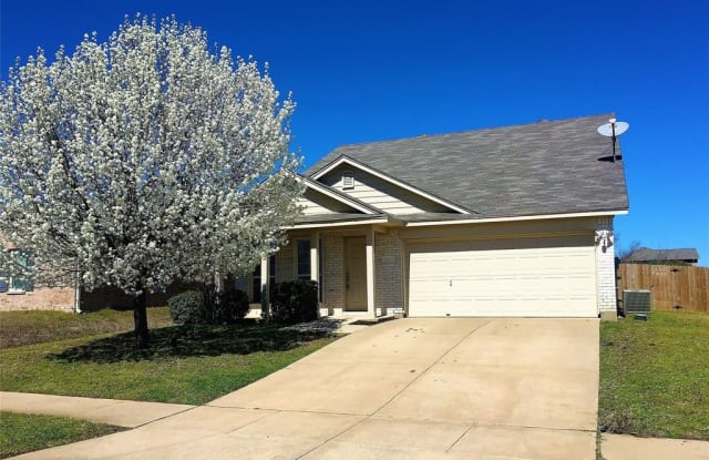 307 Quail Crossing Drive - 307 Quail Crossing Drive, Sanger, TX 76266