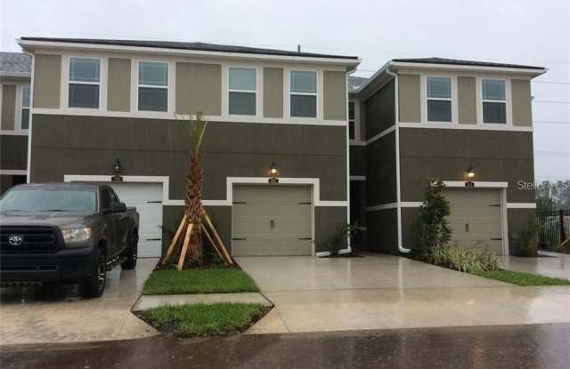 5516 VIOLA LEE WAY - 5516 Viola Lee Way, Cheval, FL 33558