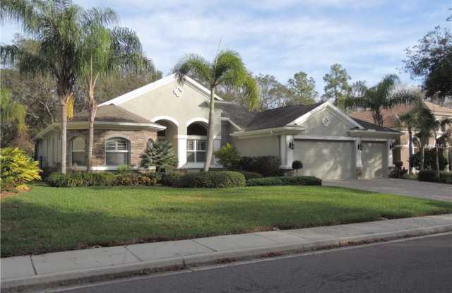 2951 GREY OAKS BOULEVARD - 2951 Grey Oaks Blvd, East Lake, FL 34688
