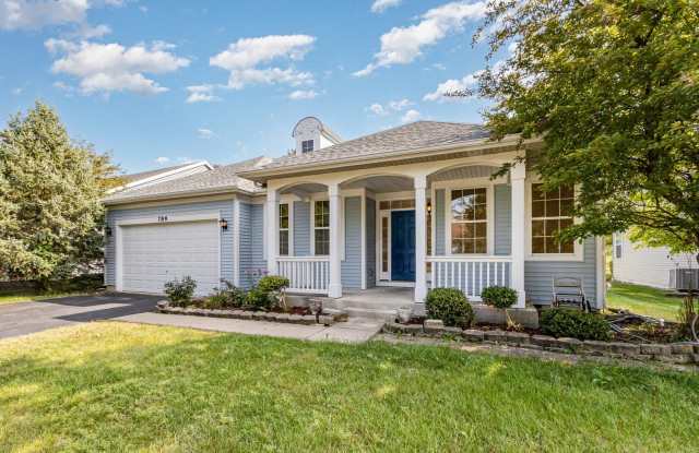 786 Bohannon Circle - 786 Bohannon Circle, Oswego, IL 60543