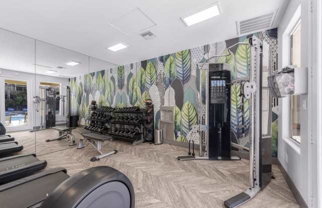 Sofi Canyon Hills Gallery 2