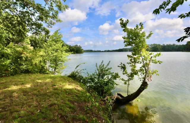 Available 06-22-26! Updated Waterfront Home! Extras Like Workshop & Sunroom, Pet Friendly, Hardwood Floors Throughout! Don't miss it!! photos photos