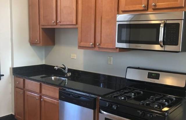 1607 W Nelson St - 1607 West Nelson Street, Chicago, IL 60657