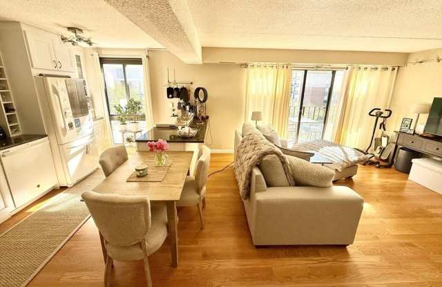 55 Sewall PHB - 55 Sewall Avenue, Brookline, MA 02446