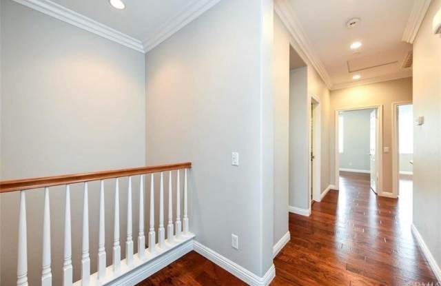 40 Fringe Tree Gallery 4