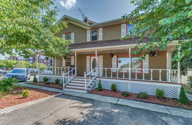 229 North Ellsworth Street - 229 North Ellsworth Street, Naperville, IL 60540