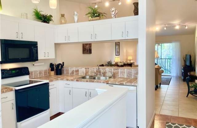 14471 Lakewood Trace Court Gallery 2