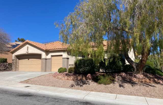 Fenced yard, Pool and hot tub/ Sun City Summerlin 55+ photos photos