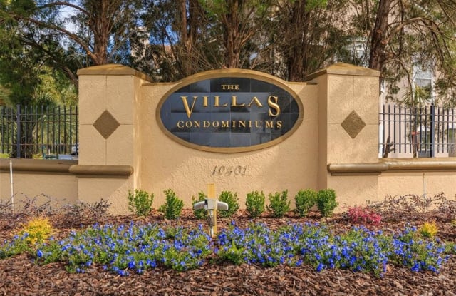 18025 VILLA CREEK DR. DRIVE - 18025 Villa Creek Drive, Tampa, FL 33647