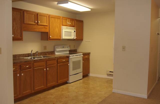 249 East Chicago Street - 2 Gallery 2