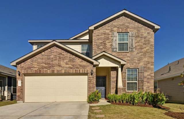 317 Black Alder Street - 317 Black Alder Street, Georgetown, TX 78626