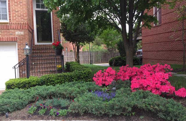 1641 HUNTING CREEK DRIVE Gallery 4