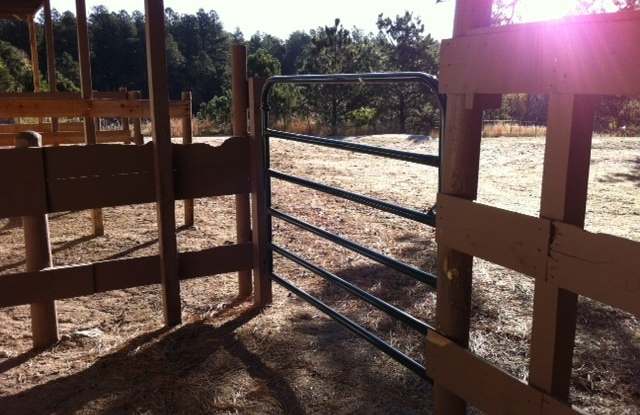 Black Forest Horse Property Gallery 4