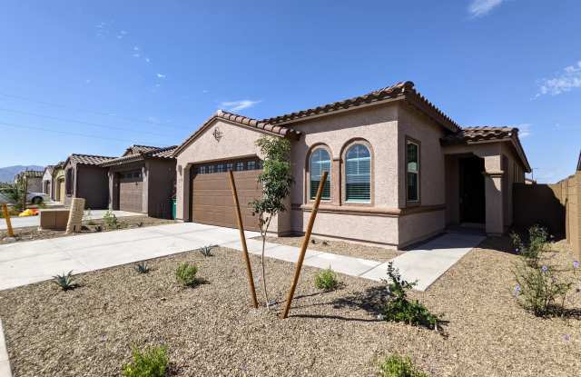 16846 W LAS PALMARITAS Drive photos photos