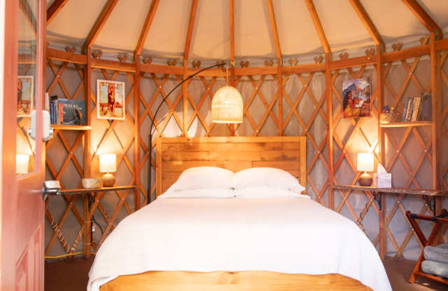 Furnished studio yurt in Hawi Gallery 1