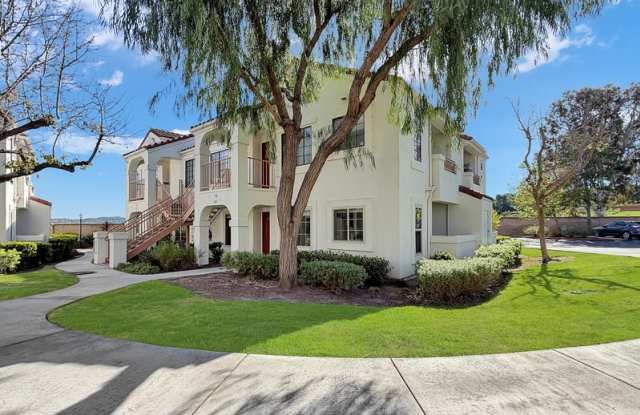 13316 Caminito Ciera photos photos