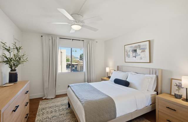 3825 East Camelback Road Gallery 4