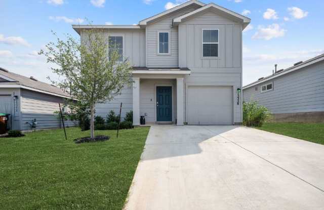 15358 Brown Violetear photos photos