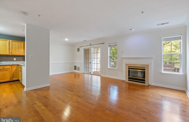 13037 BRIDGER Drive Gallery 4