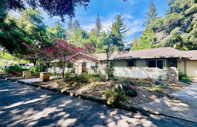 Saratoga Beauty!! Private, tranquil setting you will love! Top Schools! Walk to downtown! photos photos