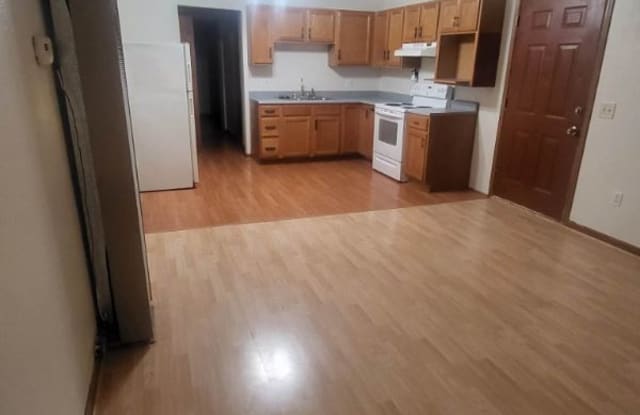 106 S. Lane - 106 South Lane Street, Blissfield, MI 49228