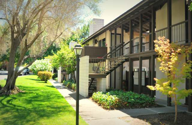 Camelback South Apartments photos photos