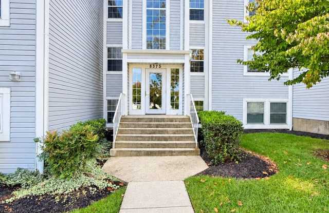 Bright & Spacious 3 Bedroom 2 Bathroom Condo in Ellicott City Gallery 1
